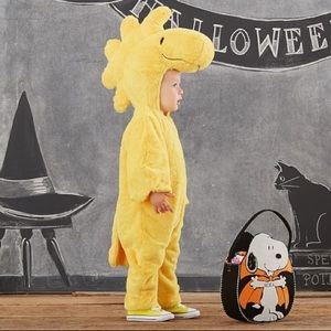 Pottery Barn Peanuts Woodstock Costume 12-24 Mos